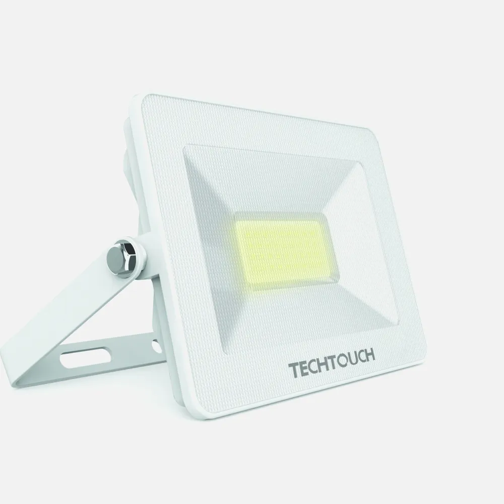 Proyector 10w 6400k Ecovision Prisma 800lm Blanco 9x7x3