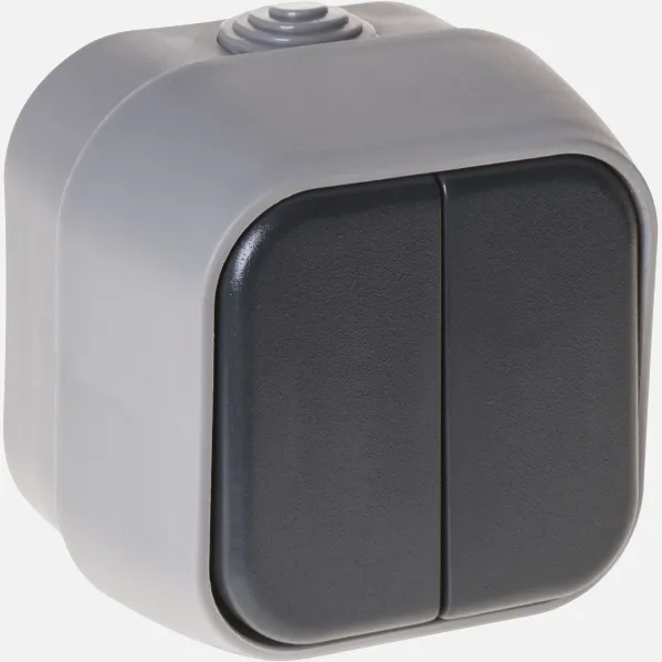 Interruptor Doble  Bert Ip54 Gris 7x7x5 Cm