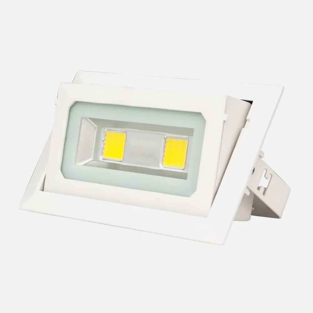 Foco Basculante 50w 6500k Newton Blanco 5500lm 