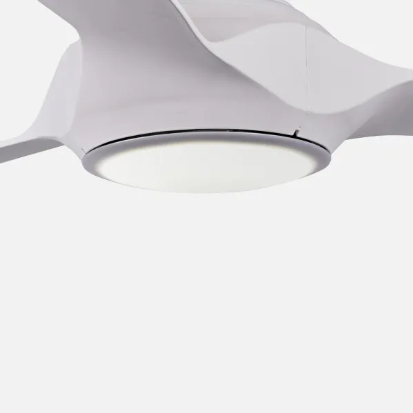 Tulipa Ventilador Narai