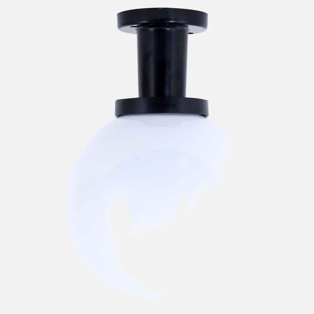 Plafon Exterior Ambiente 1xe27 Negro
