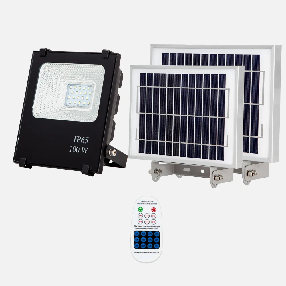 Proyector Solar Tipo Oraculo 100w  1300 Lm 6500k negro C/mando 