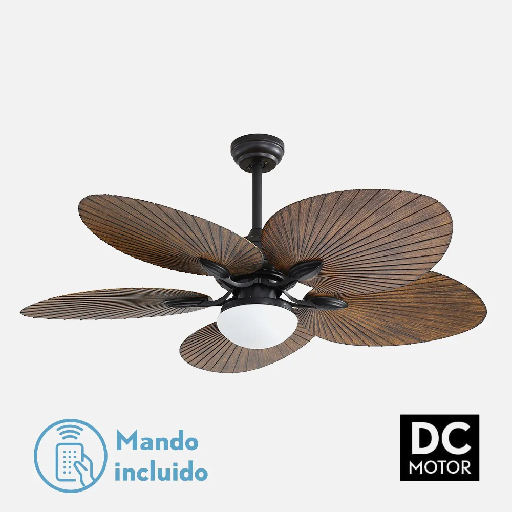Ventilador Dc Chaw 24w 2950lm Negro/marron 5 Asp.6 Veloc.132d  C/remoto, Memoria Y Temp.3000-4000-6000k