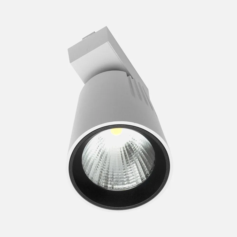 Foco Carril 30w 6000k Telma Blanco 2700lm 36º Orientable 330º Regx19x9 Cm