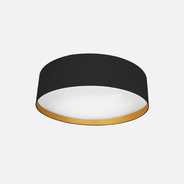 Black / Gold