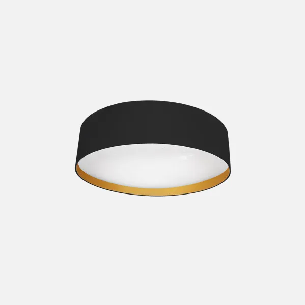 Black / Gold