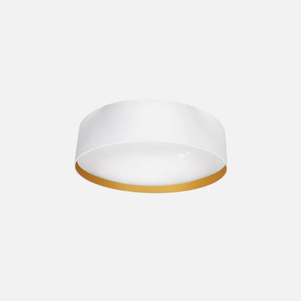 Ceiling light 72w Anuska White/gold 5616lm 3000-4000-6500k 12x50x50 Cm