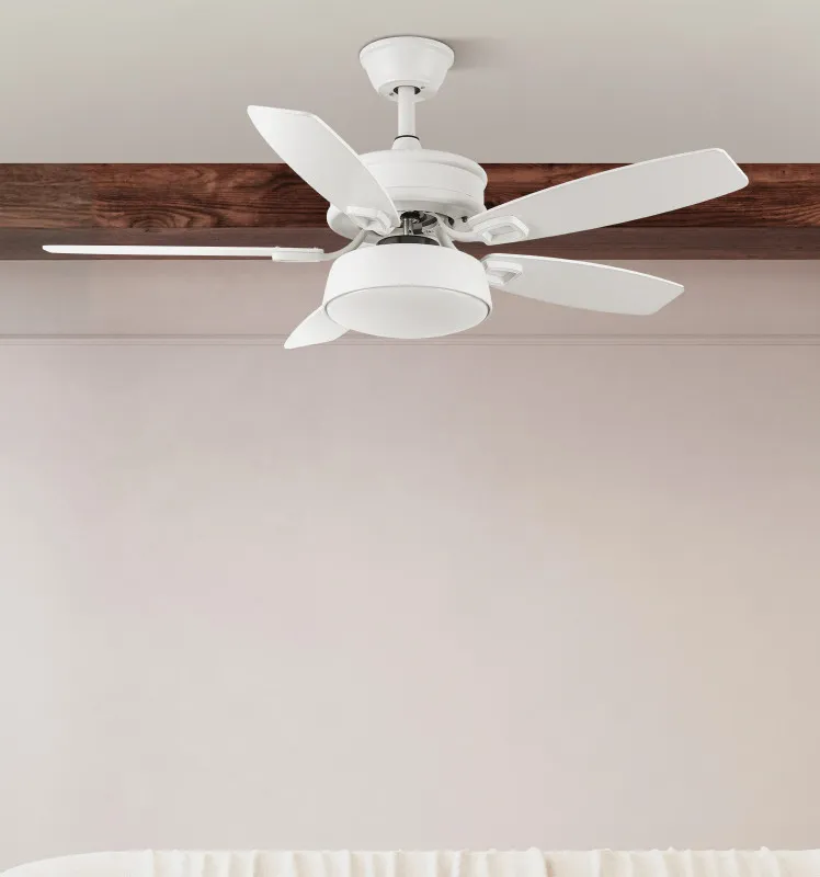 Ventilador 30w Dc Braw Blanco 5 Aspas Blanco/haya  6 Vel. 3 Colores 106,7d C/remoto, Memoria Y Temporizador 2850lm