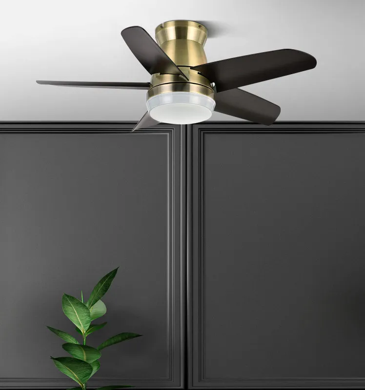 Ventilador Dc Neutron 24w 2400lm Cuero/negro 5aspas 91d 3000k,4500k,6000k, Remoto+temporizador+memoria