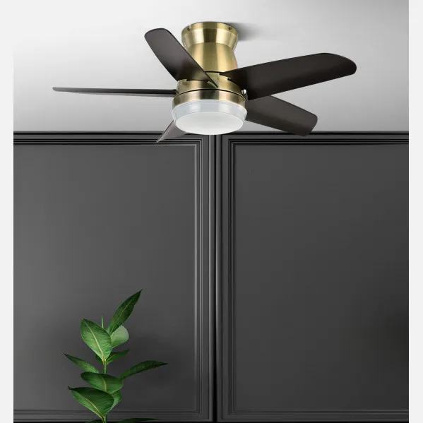 Ventilador Dc Neutron 24w 2400lm Cuero/negro 5aspas 91d 3000k,4500k,6000k, Remoto+temporizador+memoria