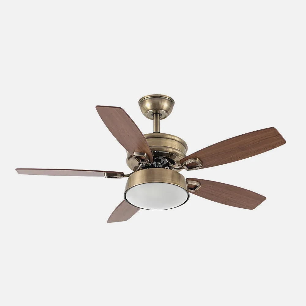 Ventilador 30w Dc Braw Cuero 5 Aspas Nogal/roble  6 Vel. 3 Colores 106,7d C/remoto, Memoria Y Temporizador 2850lm