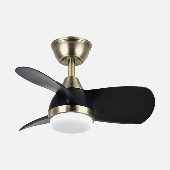 Fan Dc 24w Pirdo Leather/black 3 Sails 60d 2400lm 6 Speeds 3000-4500-6000k  C/remote, Memory And Timer