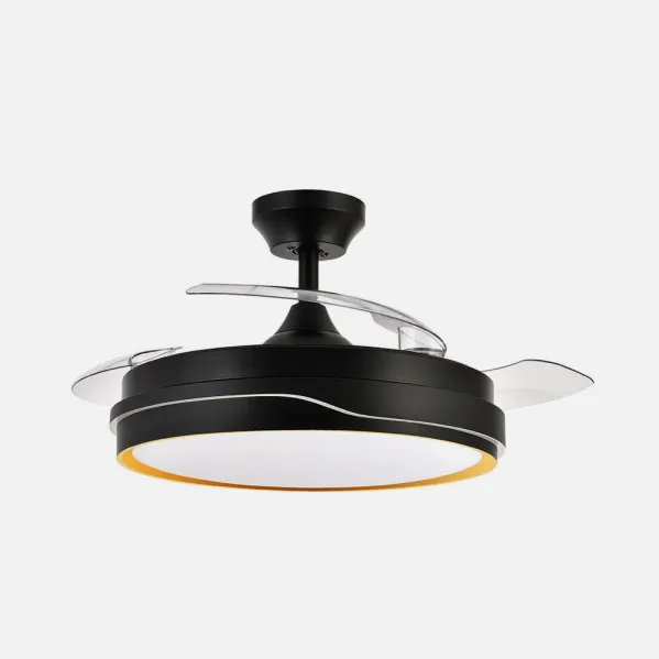 Negro / Oro