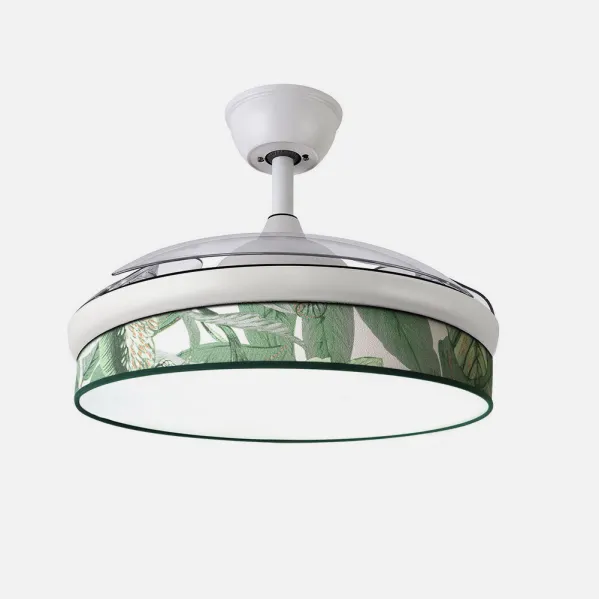 Blanco / Verde