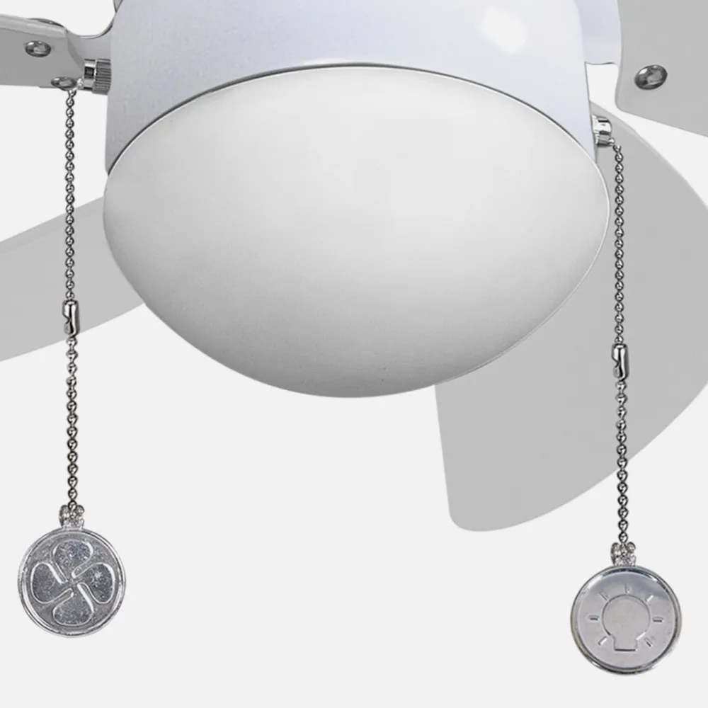 Tulipa Ventilador Delfín, Tramontana y Cibeles