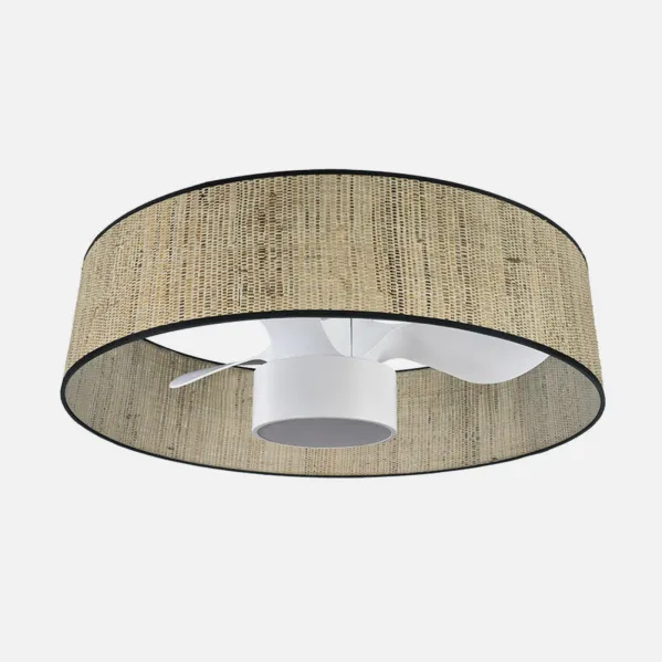 Fan Dc 24w Natasha Cane/white 70d 3 Sails 6vel. 2390lm 3 Remote Colours,memory,timer