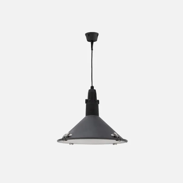 Colgante Serie Alejandria Negro 1xe27 150x31 D Ip4